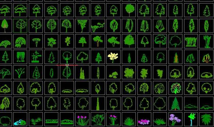 各种树木立面cad(cad图纸下载)