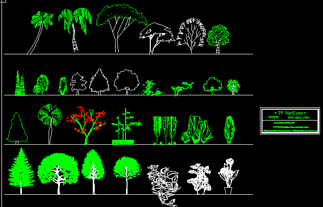 园林立面植物图例