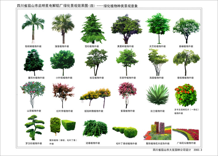图纸 园林 树木立面 上传时间:2009-05-19 所属分类:园林设计