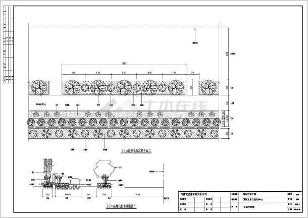 某地某道路的绿化带景观方案设计图纸