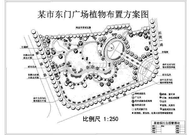 某小型广场植物种植设计图纸cad