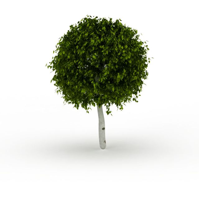 球形树冠树3d模型下载