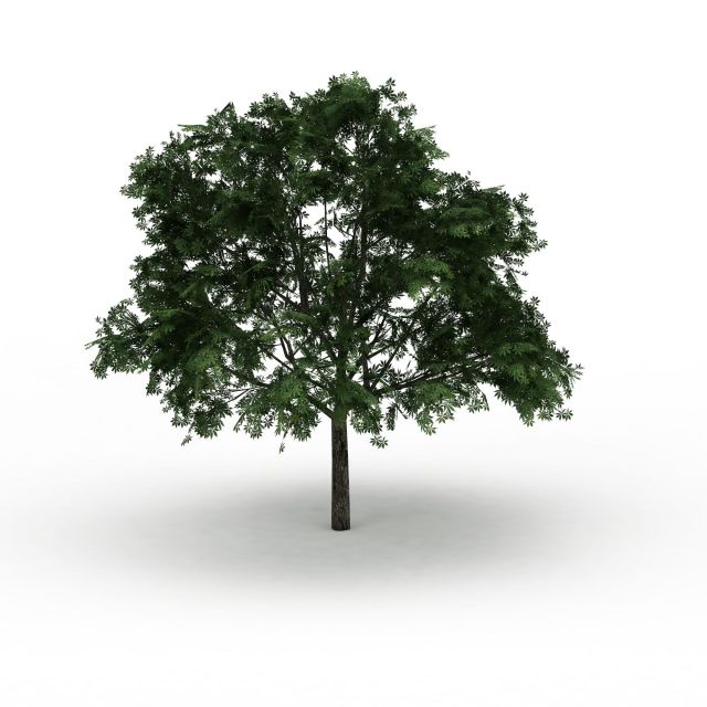 绿化树3d模型下载