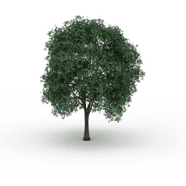 绿化树3d模型下载