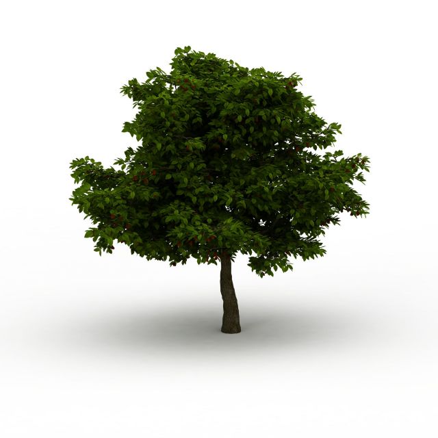 绿色杨梅树3d模型下载