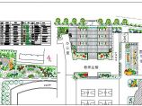 大学分校区校园广场景观绿化设计cad规划图图片1