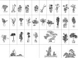 31个CAD室内植物立面图装修CAD图纸图片1
