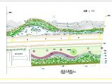 浙江某湖滨景观大道绿化施工设计cad平面方案图纸图片1