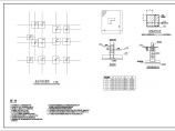 异形柱别墅结构CAD建筑施工图图片1