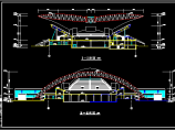 某大学体育馆建筑设计施工CAD方案图图片1
