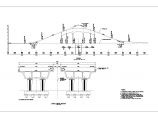 阿联酋首都某互通立交桥设计全套设计图纸图片1