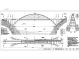 大官市某1-300m集束钢管混凝土拱桥-提篮拱桥图片1