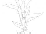 某建筑CAD常用图块之植物图纸图片1