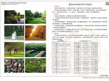 [重庆]居住区植物配置景观设计方案图片1