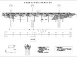 跨河特大桥钻孔灌注桩施工方案2008（鲁班奖工程）图片1