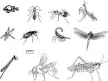 种类繁多的_某装饰城壁灯吊顶椅子床动物昆虫及其他图块CAD设计图图片1