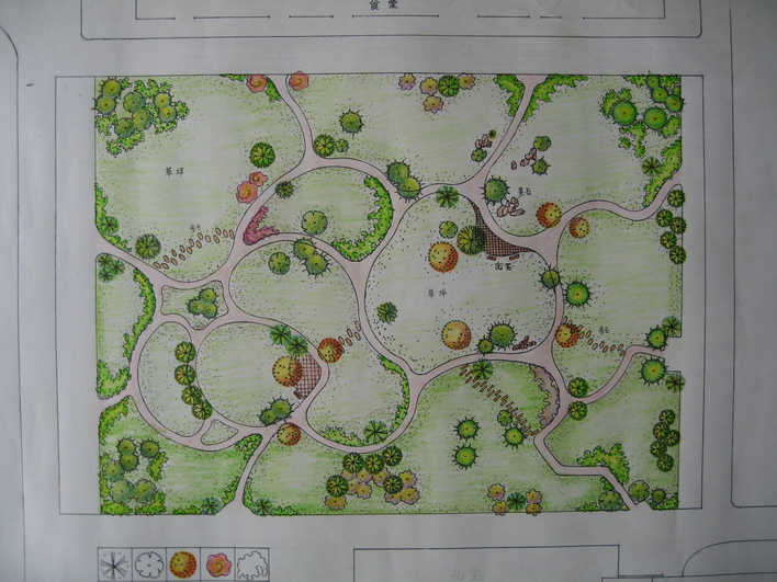 图纸 园林设计图 园林绿化及施工 广场游园绿化设计图 校园平面图