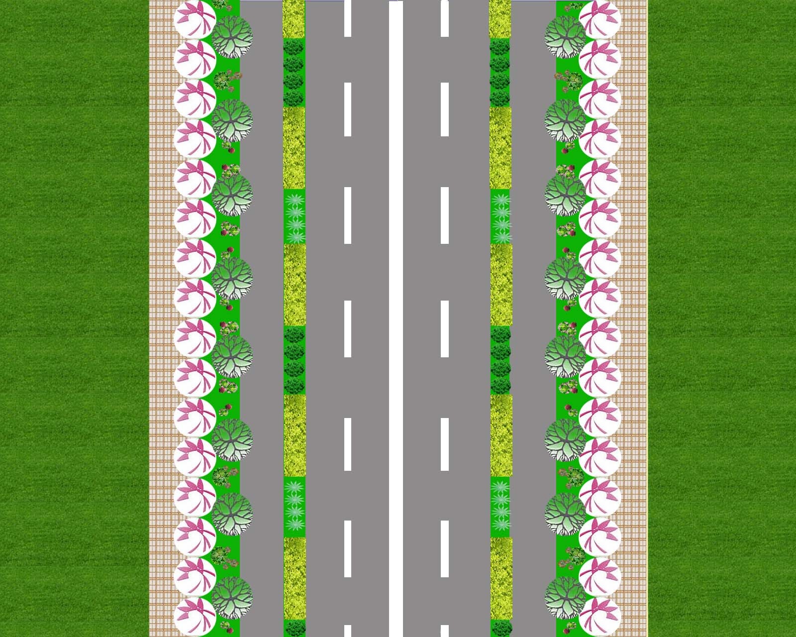 某道路绿化设计