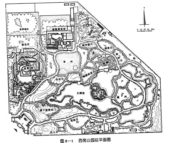 植物园地图 手绘图片