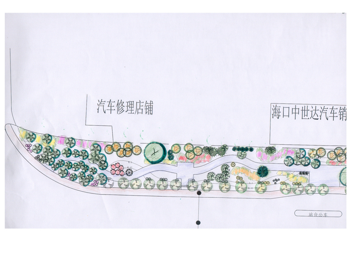 行道树绿化平面图手绘图片