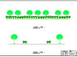 某地区道路绿化设计施工图（共2张）图片1