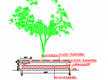 树池座椅园林设计图纸（CAD）图片1