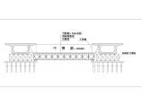 某路桥工程系杆拱桥支架图cad设计图图片1