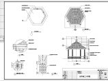 非常实用的古代园林景观建筑亭子建筑构造CAD施工图图片1