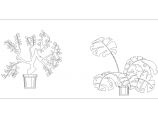 园林绿化设计植物素材（平面、立面）图片1