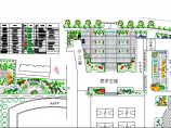 某地区高校校园广场绿化设计平面图图片1