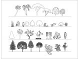 园林植物景观素材图例CAD设计图（各种树木植物）图片1