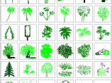 百种植物立面设计图纸合集（全套）图片1