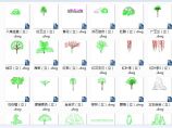 园林景观cad设计图块花草cad图块单个树cad图块（400多个史上最全）图片1
