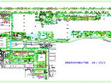 某大型工厂绿化种植设计平面施工图图片1