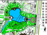 曙光软件园临湖绿化平面cad设计图纸图片1