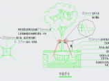 【重庆】水库水环境综合治理工程(保护区内还林 植物隔离带 隔离网)图片1