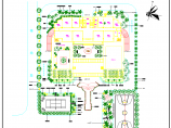 珠三角某办公大楼绿化图CAD总平面图图片1