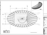 某地空间异型复杂椭球造型钢结构图纸图片1