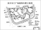 某市东门广场植物景观规划设计图纸图片1