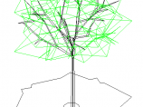 非常详细的建筑CAD三维千种之树图块图例设计(二十余张)图片1