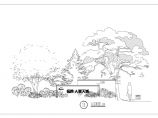 山东某地售楼处景观规划设计施工图纸图片1