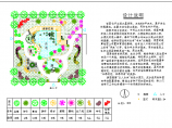 小庭园绿化平面图cad（含设计说明）图片1
